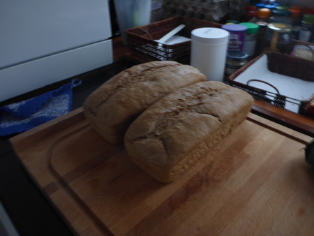 backfrisches Brot