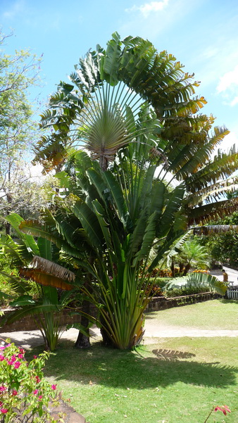 Ausflug auf Kitts-Botanische Garten-32
