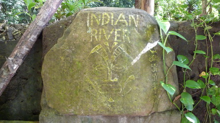 Indian River Porthmouth Dominica-15