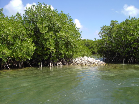 Lagoone-Barbuda