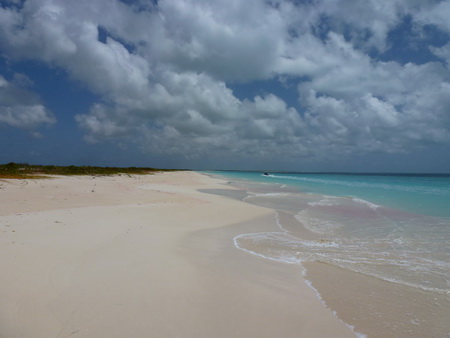 Strandwandrung Low Bay_Barbuda-1000256