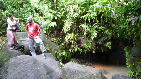 Trafalgar Wasserfälle _Dominica-9